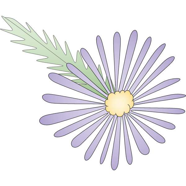 Purple Flower-1684105786